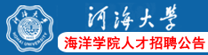 河海大学海洋学院人才招聘公告