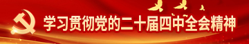 学习贯彻党的二十届四中全会精神